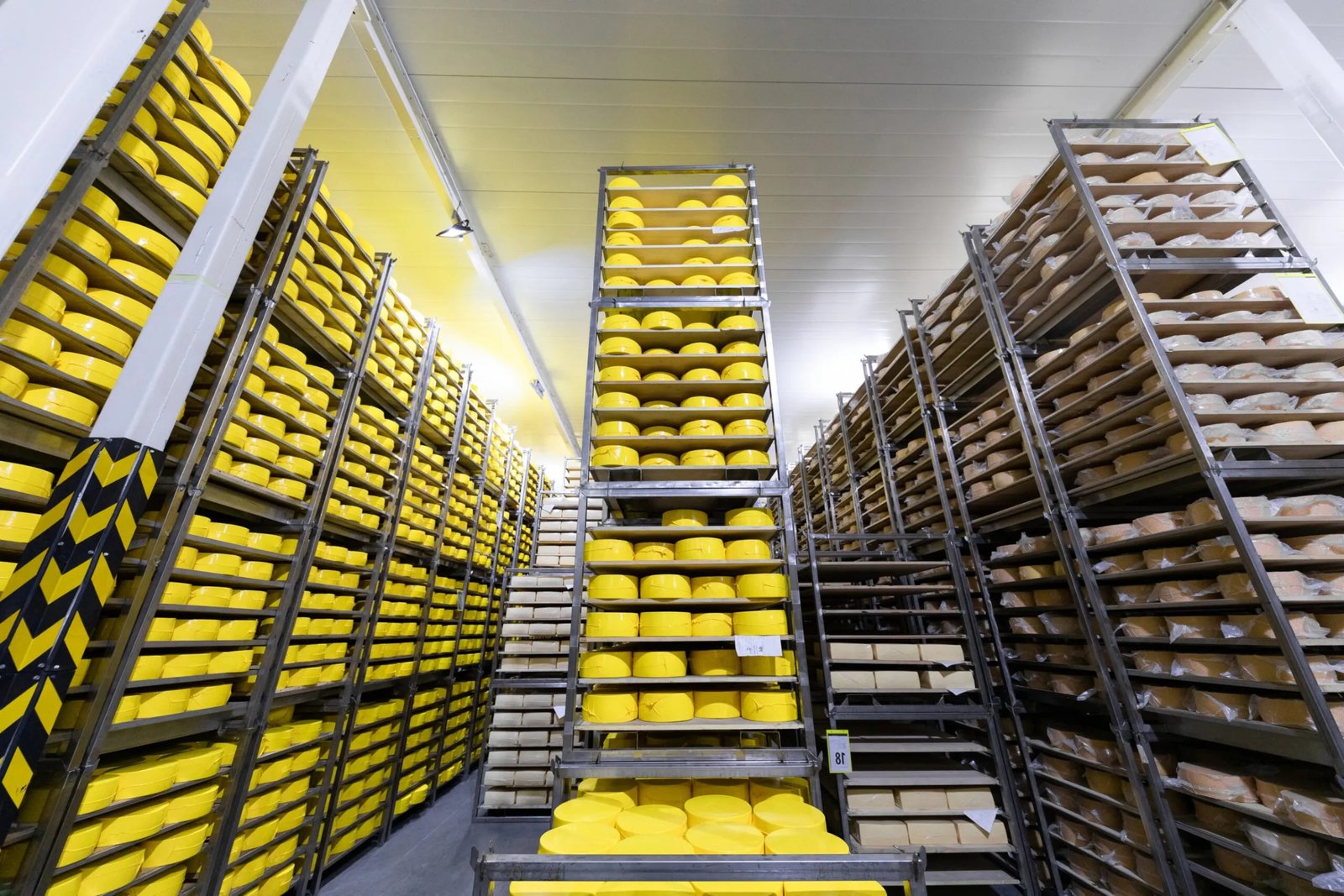 imgi_58_photo-cheese-factory-switzerland-typical-italian-cheese-parmigiano-reggiano-thousands-forms-parmigiano-reggiano-largest-parmesan-cheese-storage-forms-cheese-ripe
