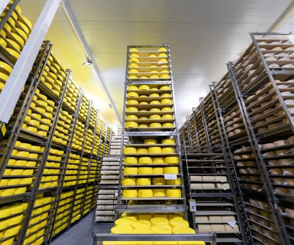 imgi_58_photo-cheese-factory-switzerland-typical-italian-cheese-parmigiano-reggiano-thousands-forms-parmigiano-reggiano-largest-parmesan-cheese-storage-forms-cheese-ripe